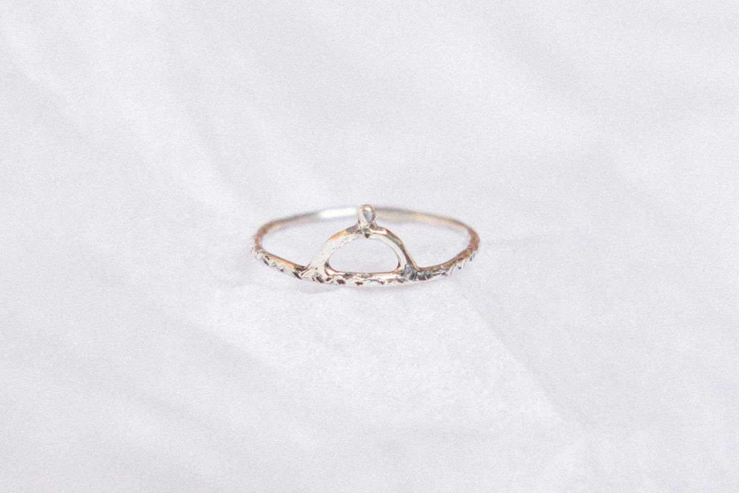 hyperion - Ringen van Saturnus