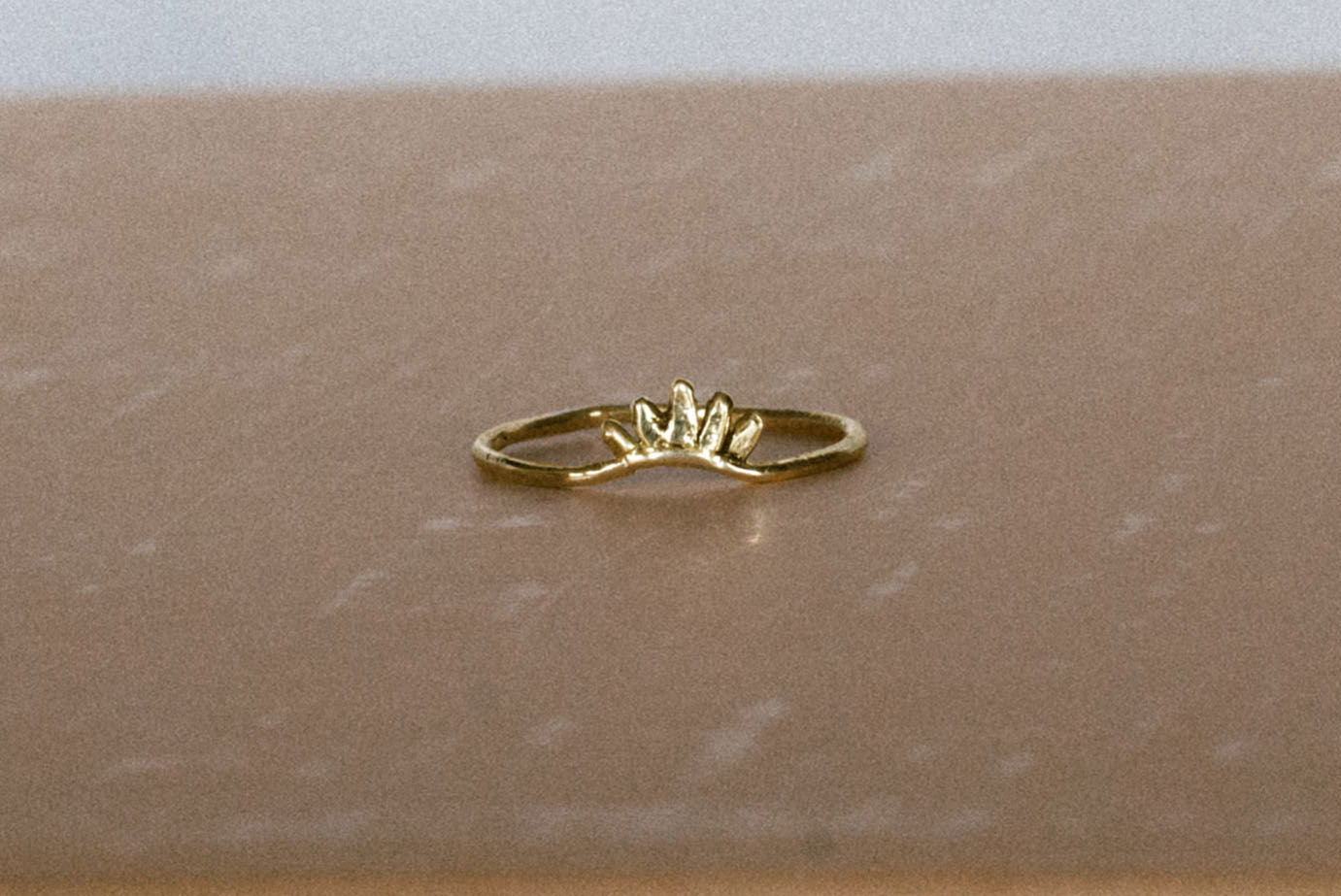 pauw - Ringen van Saturnus