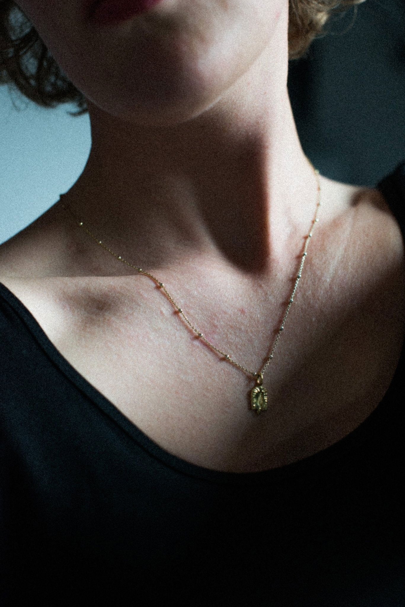 plant - Ringen van Saturnus