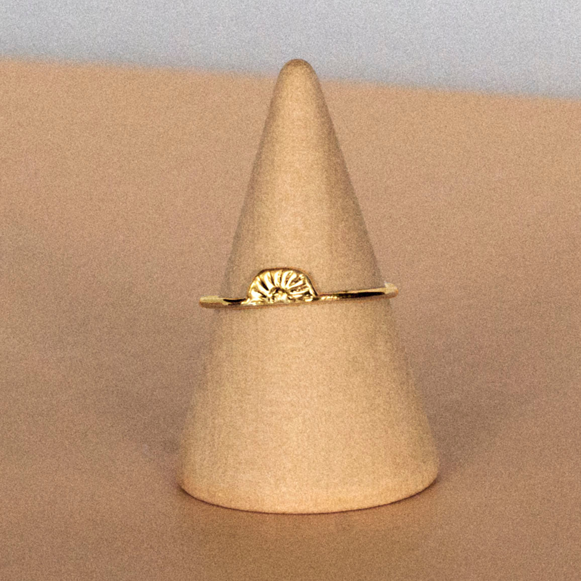 zon - Ringen van Saturnus